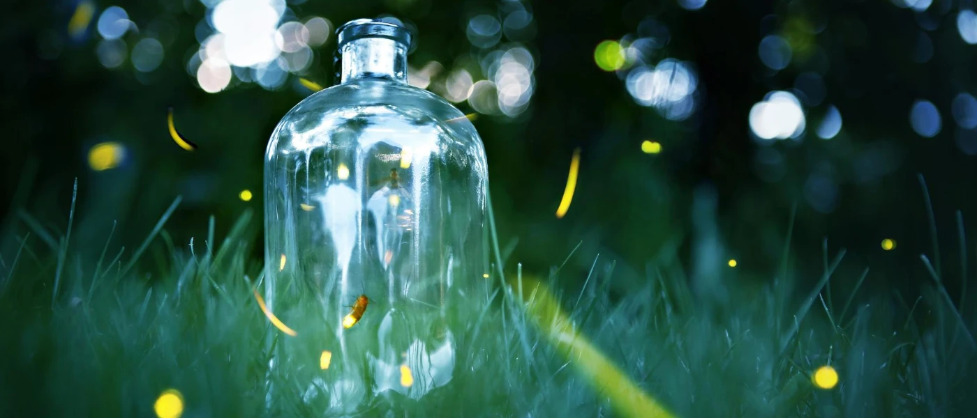 Fireflies in a jar