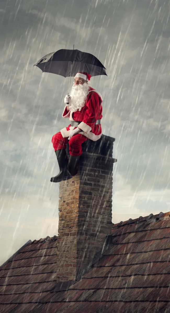 Pests You Might Find In Your Chimney