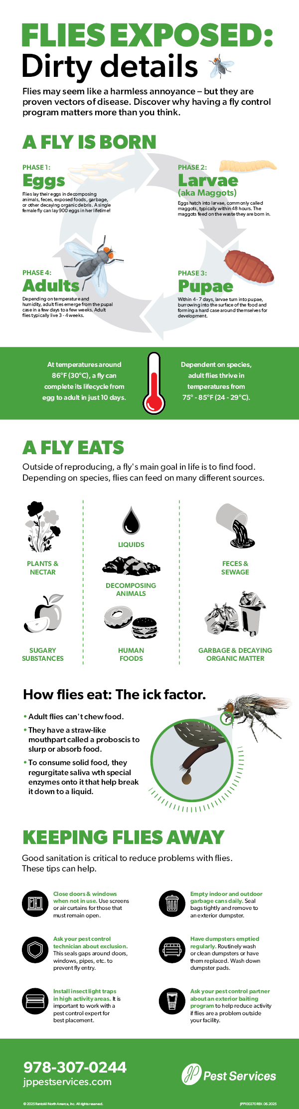 Flying Insects Policy Stop Staff-Area Fly Issues in Healthcare | JP Pest Services