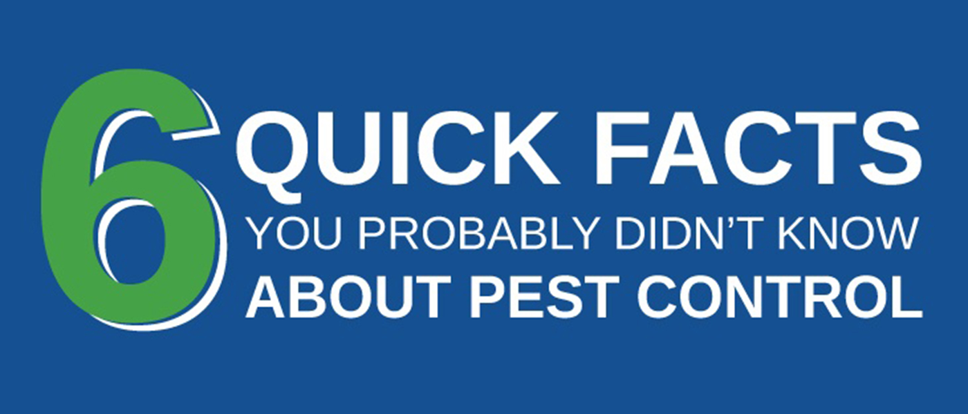 6 quick facts you probably didn't know about pest control