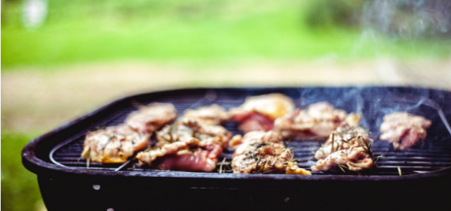 Don't Let These Pests Ruin Your Backyard BBQ This Summer