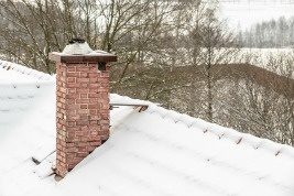 Keeping Pests Out Of Your Chimney And Fireplace