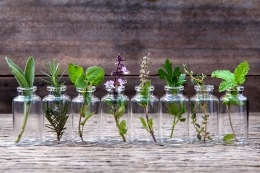 Do Certain Plants And Herbs Work As Natural Pest Repellents?