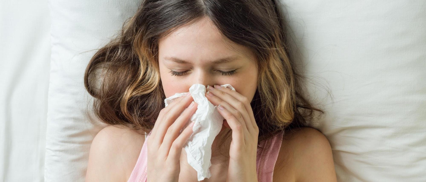 Common Cold or Pest Allergens