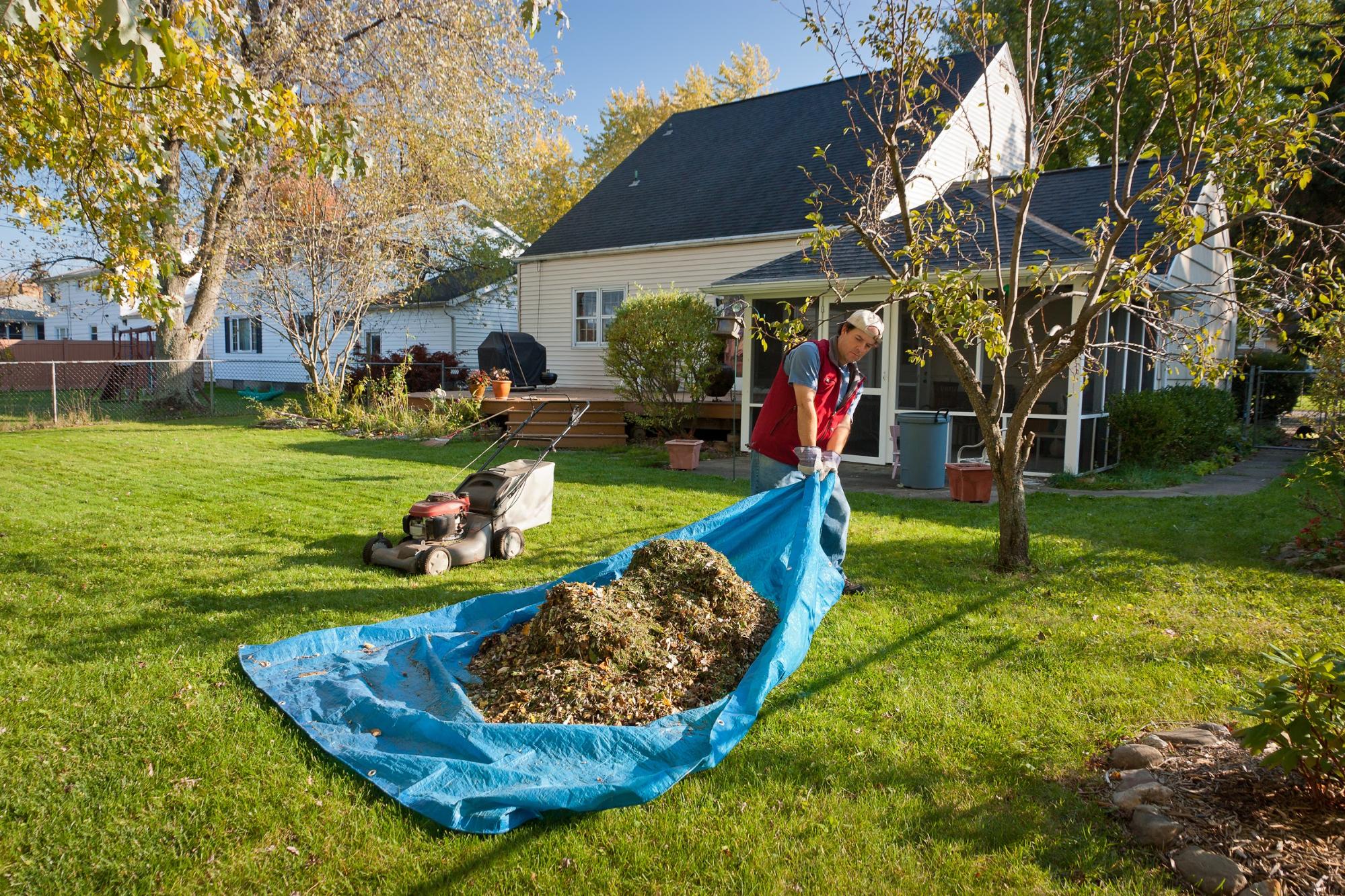 Yard cleaning. Cleaning service Yard. Clean tarp. Yard Cleaning Photography.