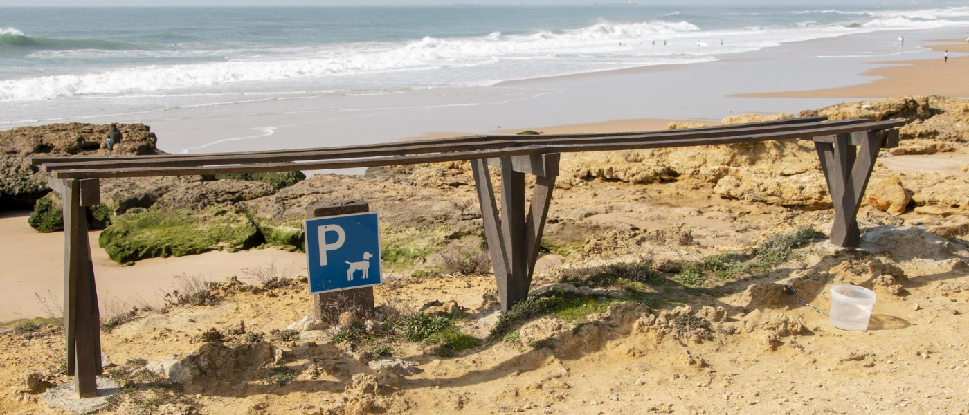 You’re Not the Only One Looking Forward to Beach Season