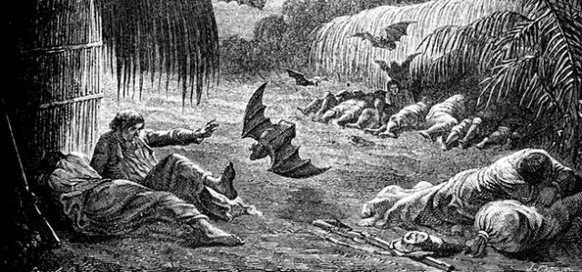 It’s National Bat Week! Here’s 7 Common (But Old Timey) Bat Myths