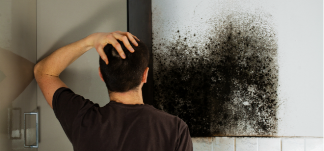Don't Let Mold Make Your Restaurant Fail Inspection