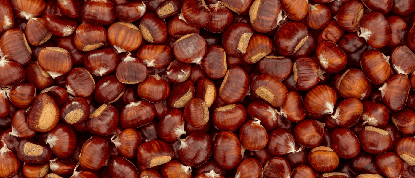 Chestnuts, Candy Canes and Cockroaches