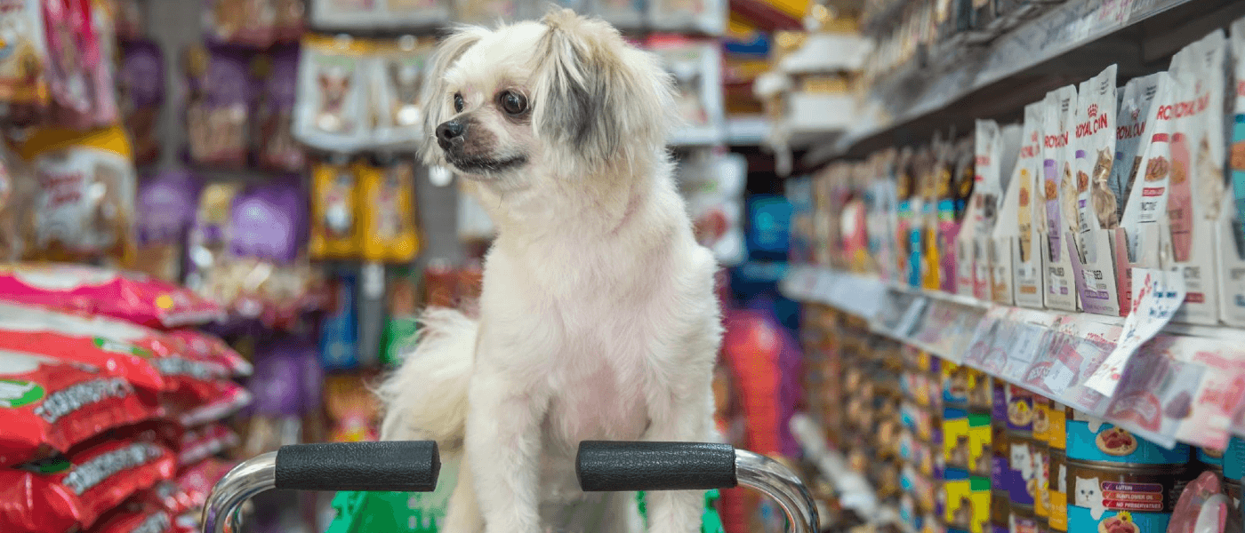 Dogs Aren't the Only Ones Who Love Pet Stores