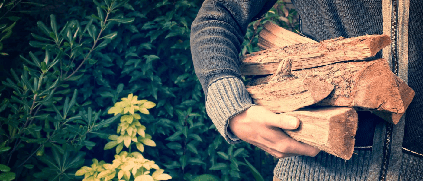 Don't Bring Pests in With the Woodpile