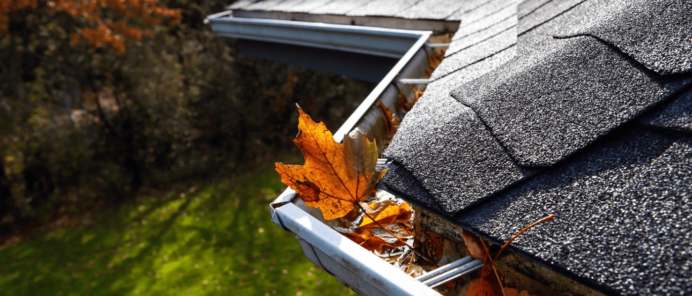 Easy DIY Methods to Help Keep Autumn Pests Out