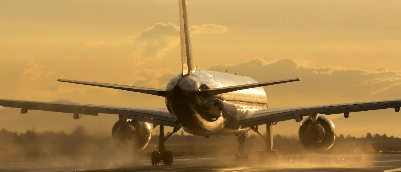 Bed bugs can spread on airplanes