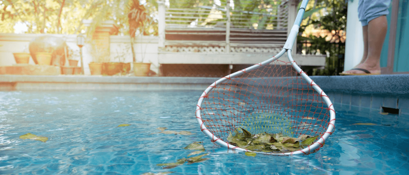 How to Keep Rodents Out of the Pool Area in the Off-Season