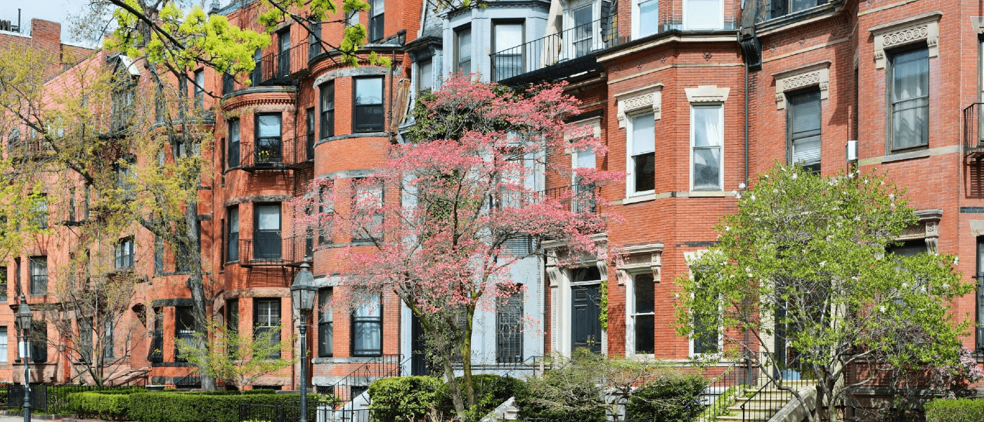 Rat Populations on the Rise in Boston Neighborhoods