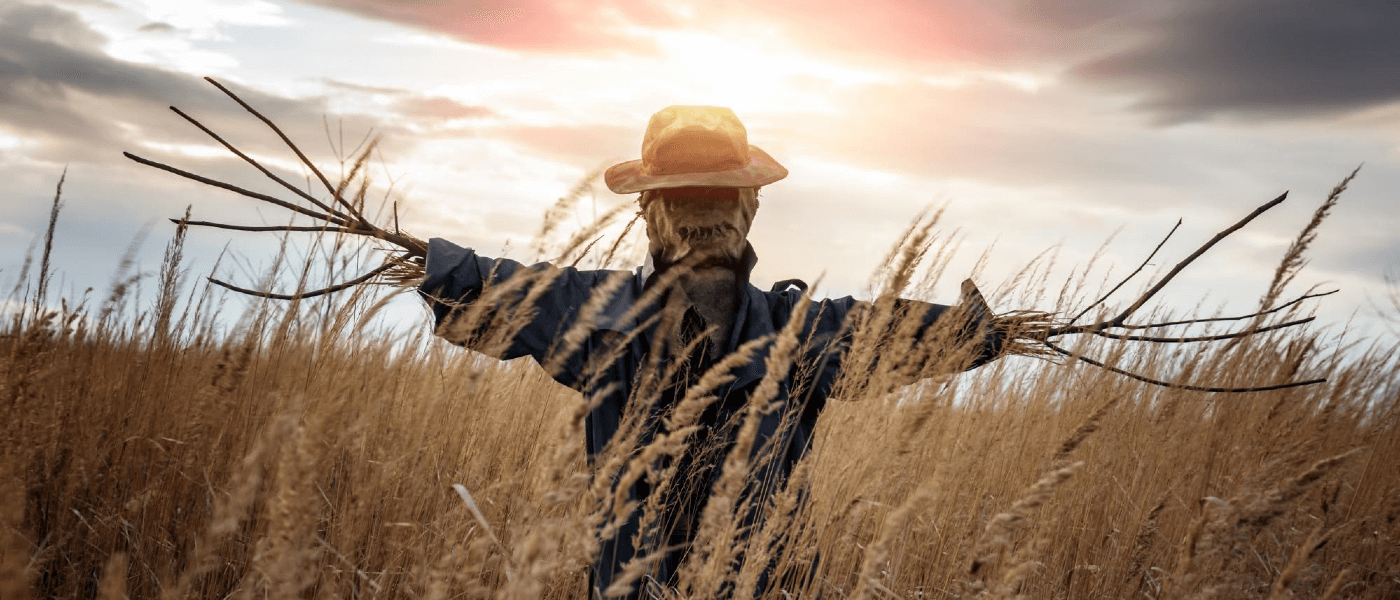 Scarecrows: History of the Classic DIY Bird Control Method