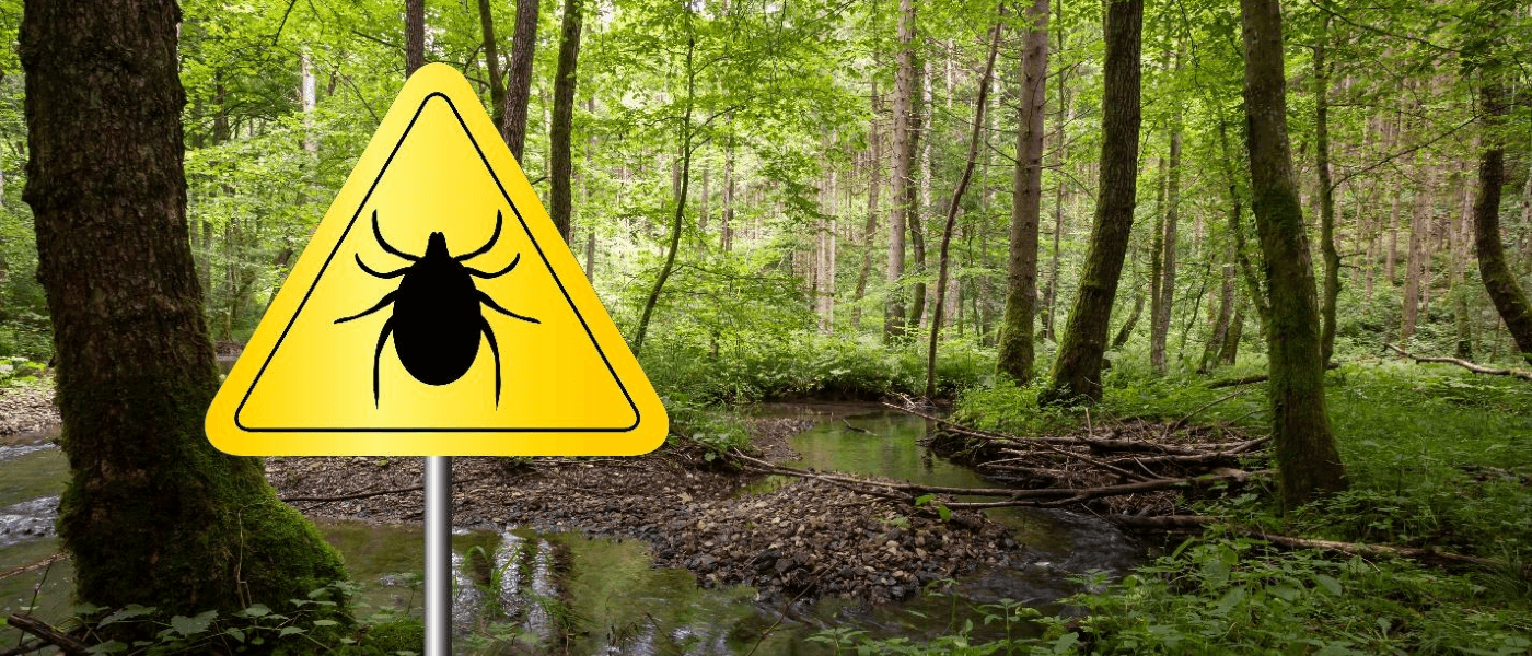 A forest with a tick warning sign.