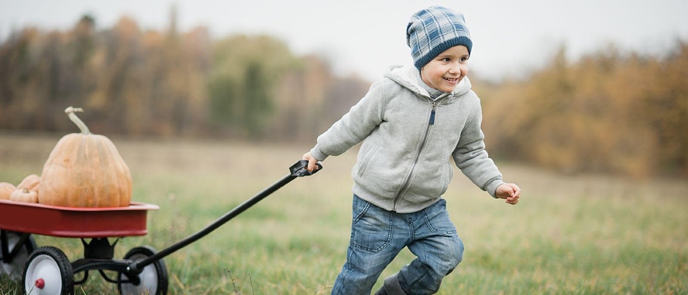 Boy pulls a red wagon with pumpkins across a field