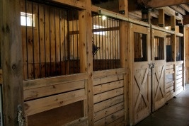 keeping your barn pest free