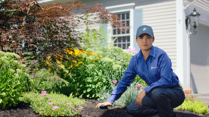 jp pest technician in garden