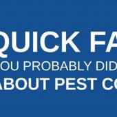 6 quick facts you probably didn't know about pest control