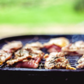 Don't Let These Pests Ruin Your Backyard BBQ This Summer