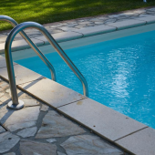 Pests in the Pool? Here's How to Get Rid of Them