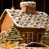 Don’t Let Pantry Pests Into Your Gingerbread House