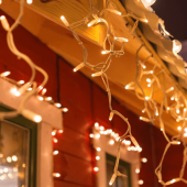 Are Christmas Lights Attracting Pests to Your Home? 