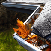 Easy DIY Methods to Help Keep Autumn Pests Out