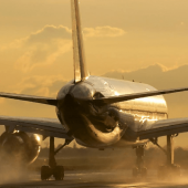 Bed bugs can spread on airplanes