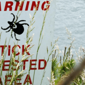 A sign warning of ticks in tall grass.
