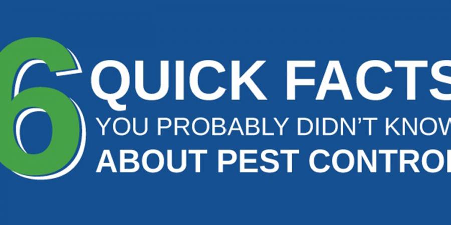 6 quick facts you probably didn't know about pest control