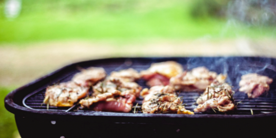 Don't Let These Pests Ruin Your Backyard BBQ This Summer