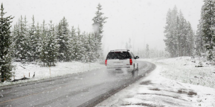 Keeping Mice Away From Cars During Cold Weather