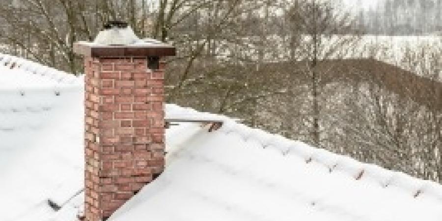 Keeping Pests Out Of Your Chimney And Fireplace