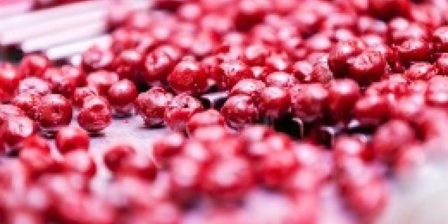 How Often Should I Have My Food Processing Facility Checked for Pests?