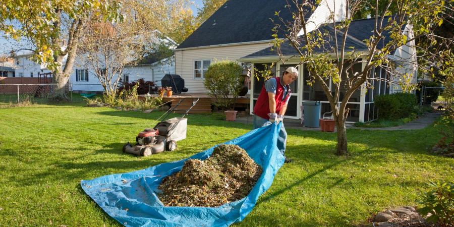 Spring Yard Clean-Ups & Pest Proofing
