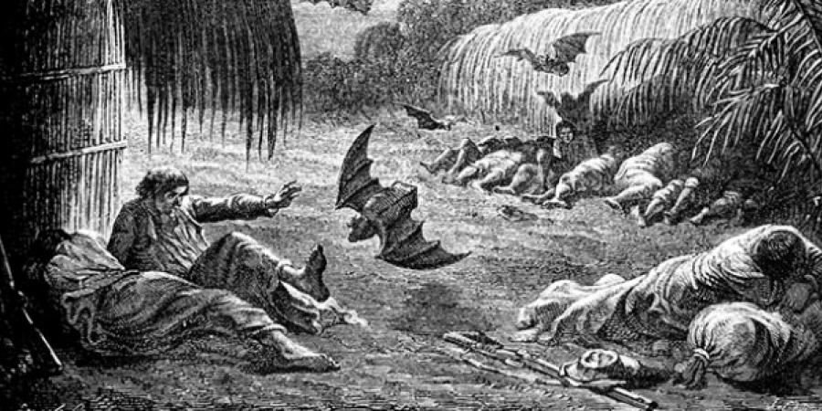 It’s National Bat Week! Here’s 7 Common (But Old Timey) Bat Myths