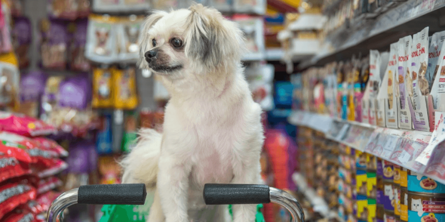Dogs Aren't the Only Ones Who Love Pet Stores