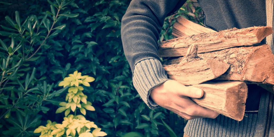 Don't Bring Pests in With the Woodpile