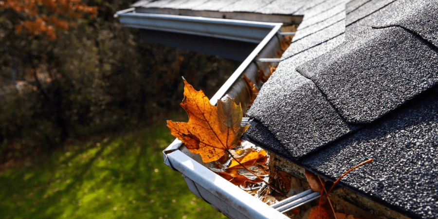 Easy DIY Methods to Help Keep Autumn Pests Out