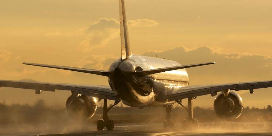 Bed bugs can spread on airplanes