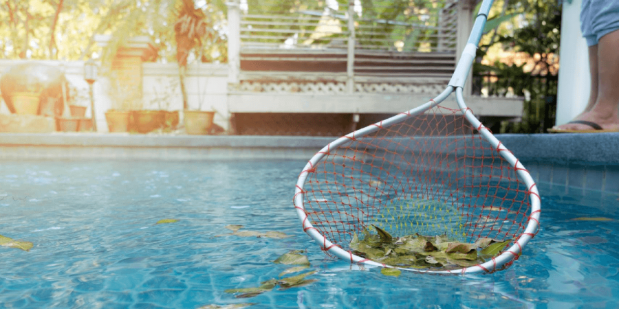 How to Keep Rodents Out of the Pool Area in the Off-Season