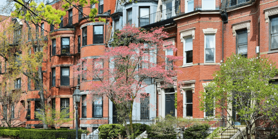 Rat Populations on the Rise in Boston Neighborhoods