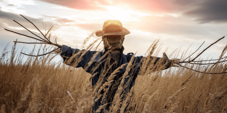 Scarecrows: History of the Classic DIY Bird Control Method