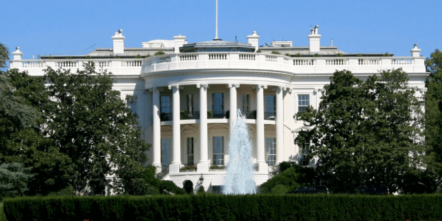 Termites in the White House