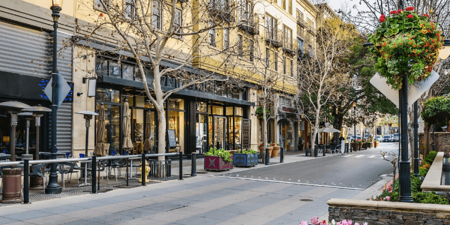 Why Pest Control is Essential for Plaza Businesses