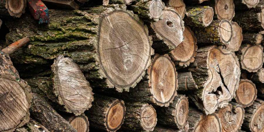 Stack of firewood