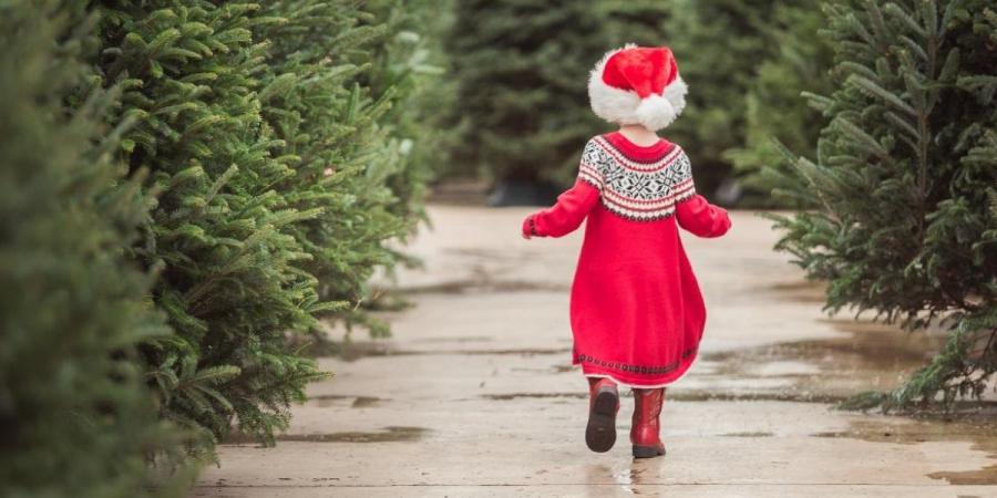 A small child dressed for the holidays runs through by a group of Christmas trees.